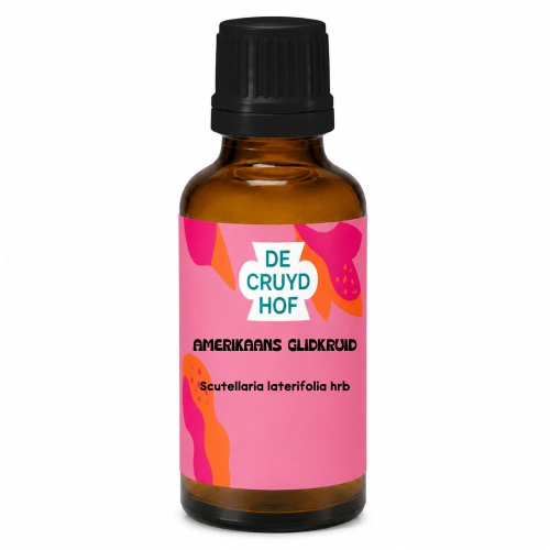 100 ml De Cruydhof  Amerikaans Glidkruid / Scutellaria Laterifolia hrb Tinctuur
