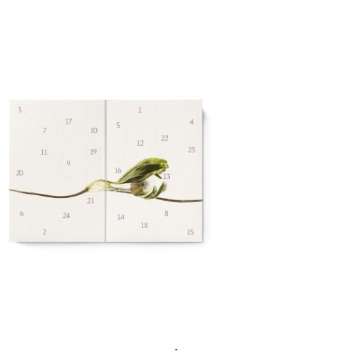 Dr. Hauschka Adventskalender 2026 Bliss 1 Stück