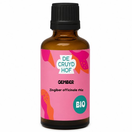 100 ml De Cruydhof Gember / Zingiber Officinale rhiz Tinctuur Biologisch