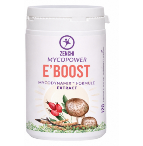 120 capsules Mycopower E'Boost Mycodynamix™ Formule Extract