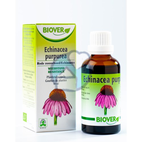 Biover Echinacea Purpurea Biologisch 50 Ml