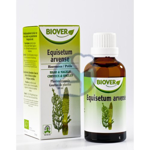 Biover Equisetum Arvense Biologisch 50 ml