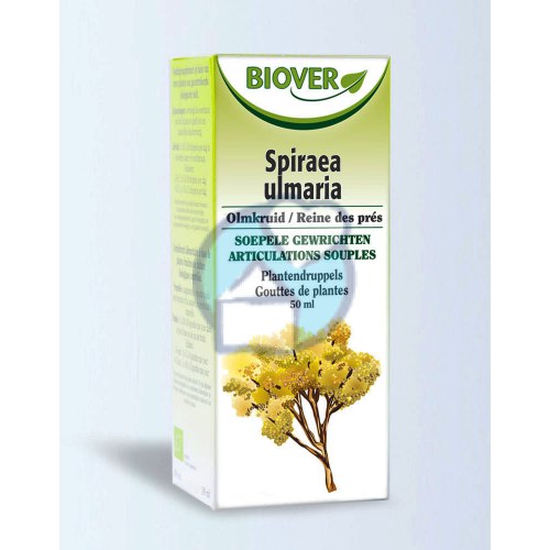 Biover Spiraea Ulmaria - Olmkruid Biologisch