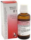 50 ml Reckeweg Angina Gastreu R01