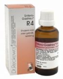 50 ml Reckeweg Entero Gastreu R4