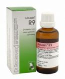 22 ml Reckeweg Jutussin Druppels