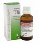 22 ml Reckeweg Klimax Gastreu