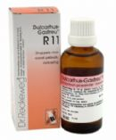 22 ml Reckeweg Lumbago Gastreu