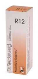 22 ml Reckeweg Multojod Gastreu