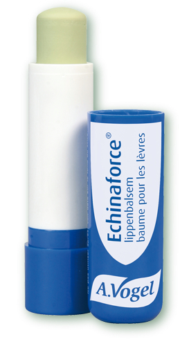 A.Vogel Echinaforce Lippenbalsem 4.8 gram