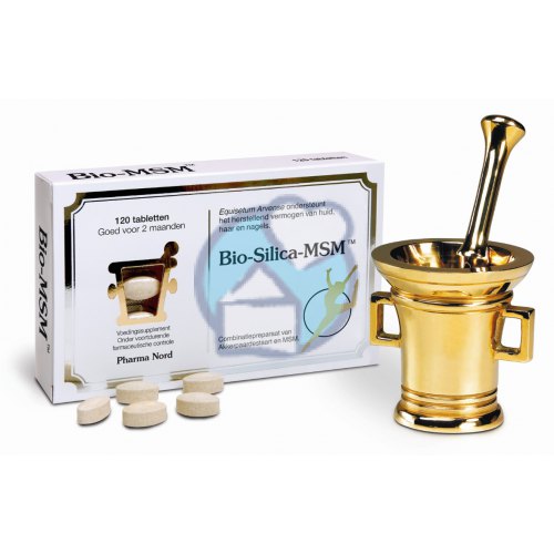 Pharma Nord Bio-Silica-MSM 120 Tabletten