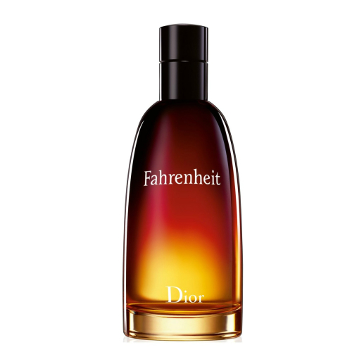 Fahrenheit Men Aftershave Christian Dior 100 ml kopen Gezondheid aan huis