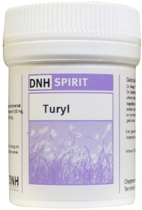DNH Research Spirit Turyl 140 tabletten
