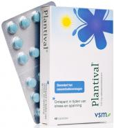 VSM Plantival 40 tablets