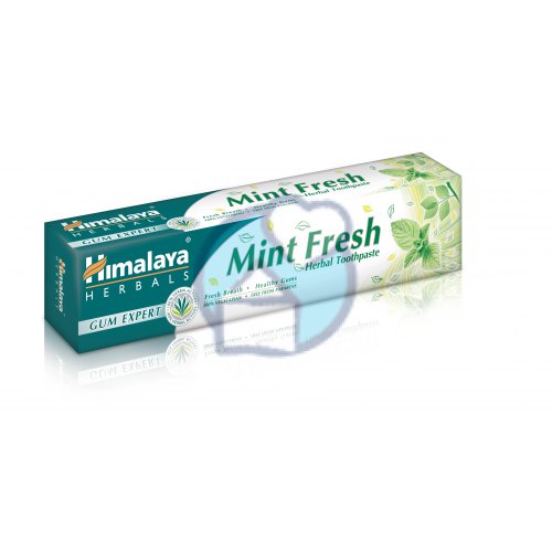 kruidentandpasta-mint-fresh-himalaya-75-ml