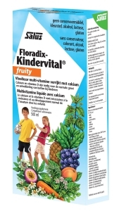 Salus Floradix Kindervital Fruity 500 ml