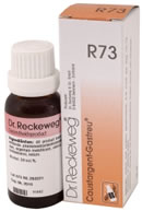 22 ml Reckeweg Caustargent Gastreu R73