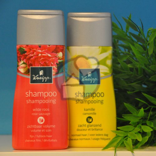 Kneipp Geschenkset Shampoo Kamille & Wilde Roos 2 x 200 ml