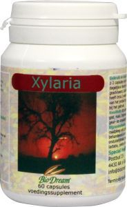 Biodream Xylaria 60 Kapseln