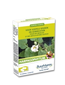 Buurmanns Harpagophytum 30 tabletten