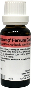 Reckeweg Ferrum Gastreu R31 22 ml