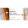 6 tabletten Leidapharm Anti-Worm Mebendazol 100 mg