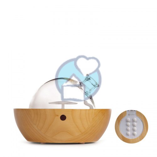 Chi Yunique Verdamper 1 exemplaar