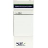 4 Gramm Globuli VSM Enkelvoudige Homeopathie Arum Triphyllum 200K