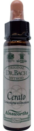 10 Ml Ainsworths Bach Cerato
