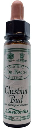 10 Ml Ainsworths Bach Chestnut Bud