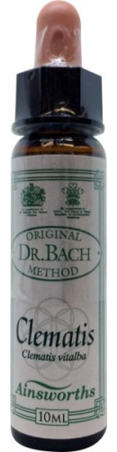 10 Ml Ainsworths Bach Clematis