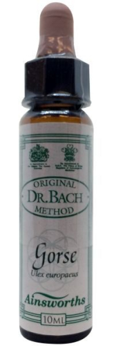 10 Ml Ainsworths Bach Gorse