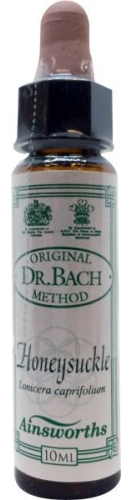 10 Ml Ainsworths Bach Honeysuckle