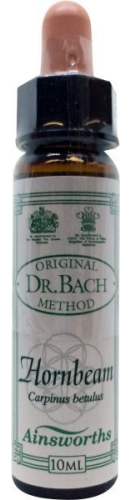 10 Ml Ainsworths Bach Hornbeam