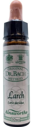 10 Ml Ainsworths Bach Larch