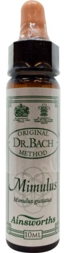 10 Ml Ainsworths Bach Mimulus