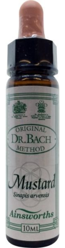 10 Ml Ainsworths Bach Mustard