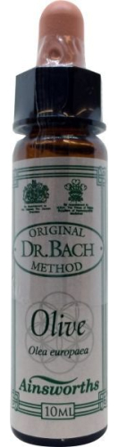 10 Ml Ainsworths Bach Olive