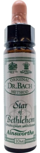 10 Ml Ainsworths Bach Star of Bethlehem