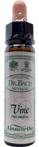 10 Ml Ainsworths Bach Vine
