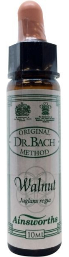 10 Ml Ainsworths Bach Walnut