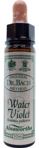 10 Ml Ainsworths Bach Waterviolet