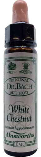 10 Ml Ainsworths Bach White Chestnut