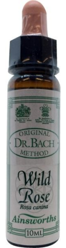 10 Ml Ainsworths Bach Wild Rose