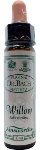 10 Ml Ainsworths Bach Willow