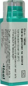 6 gram Homeoden Heel Ledum Palustre D6