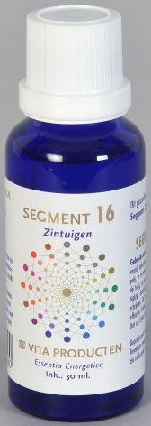 Vita Producten Segment 16 Zintuigen