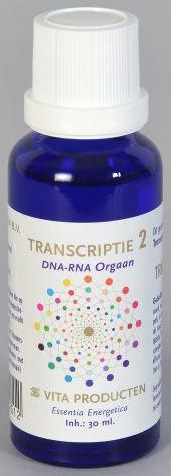 Vita Producten Transcriptie 2 DNA-RNA Orgaan