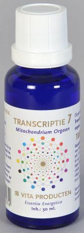 Vita Producten Transcriptie 7 Mitochondrium Orgaan