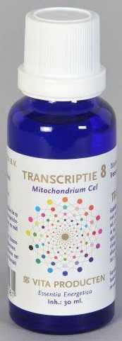 Vita Producten Transcriptie 8 Mitochondrium Cel